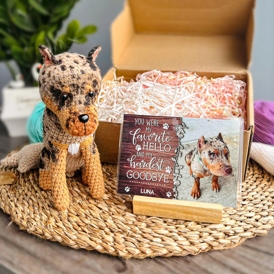 Personalized Crochet Doll with Photo Card "You Were My Favorite Hello"