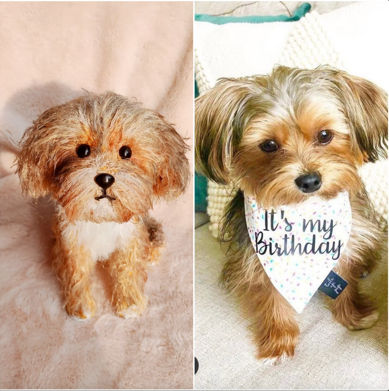 Pet Custom Crochet Doll