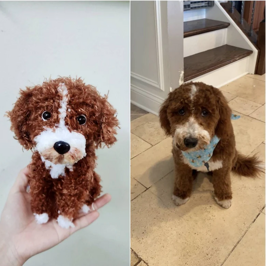 Pet Custom Crochet Doll