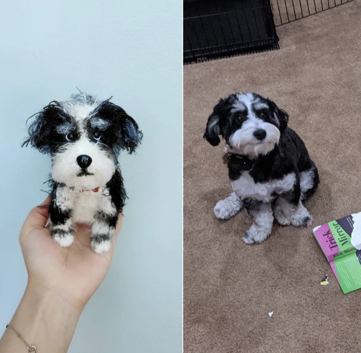 Pet Custom Crochet Doll