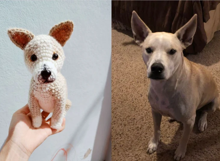 Pet Custom Crochet Doll