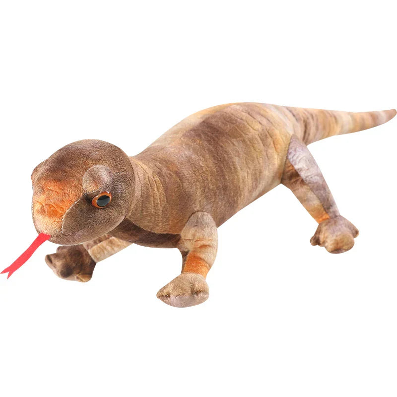 49636817142098|49636817305938|49636817338706