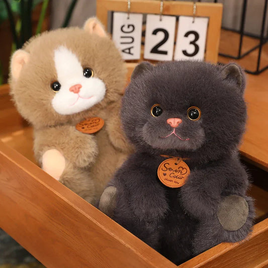 British Shorthair Kitty Plushies