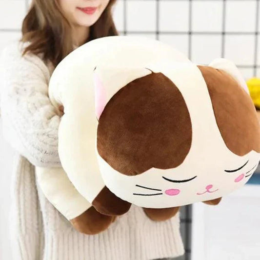 Sleepy Cutie - Hana the Cat